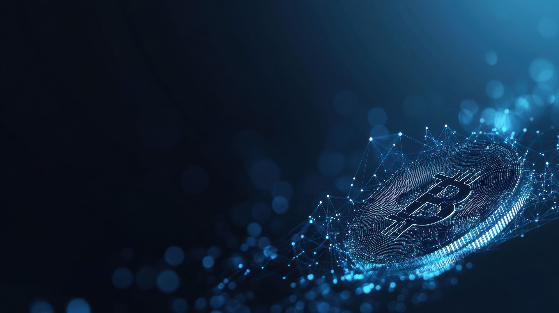 Payment Reconciliation in the Blockchain World - Capitalixe